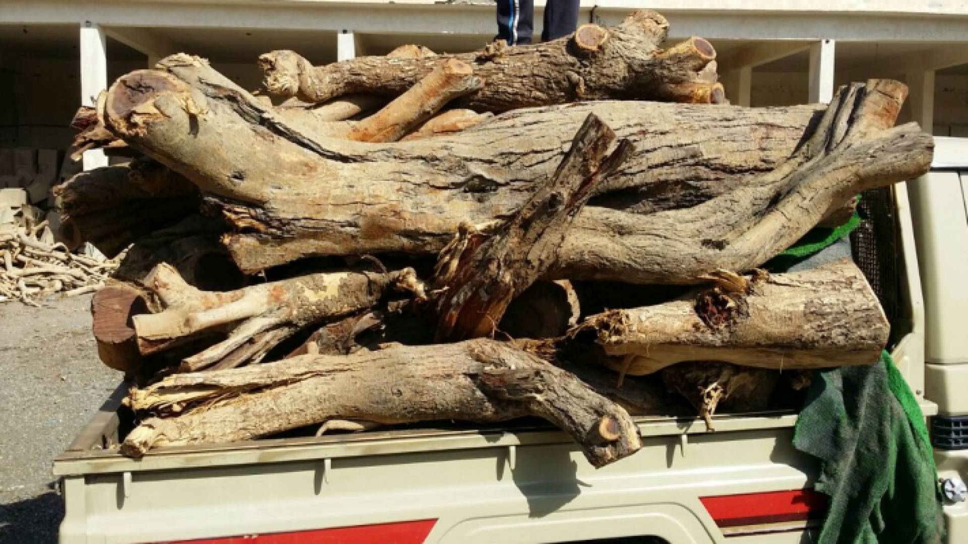 الصورة ارشيفية