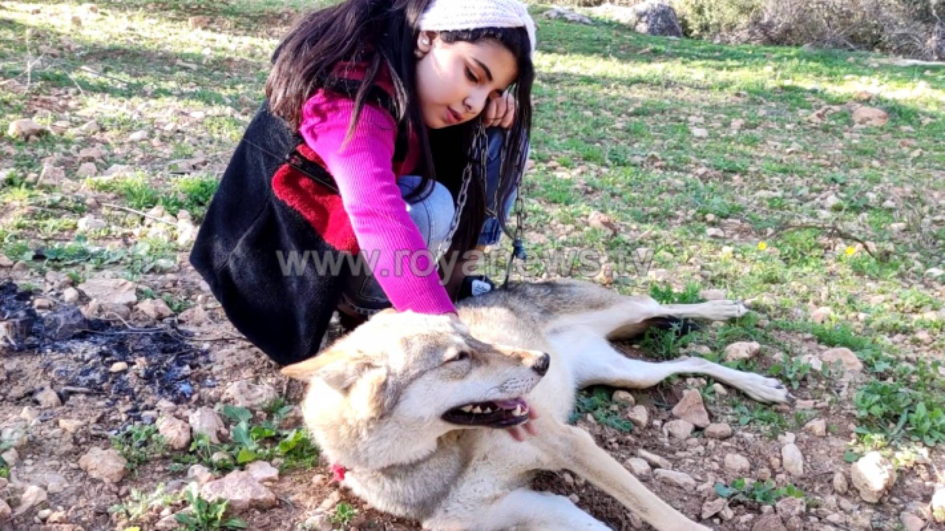 الطفلة فريحات