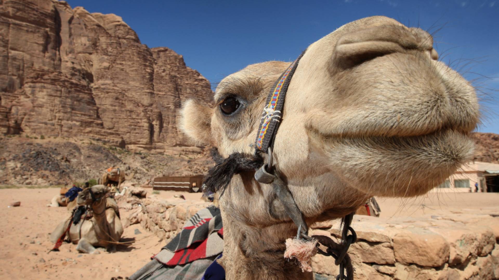 الصورة أرشيفية