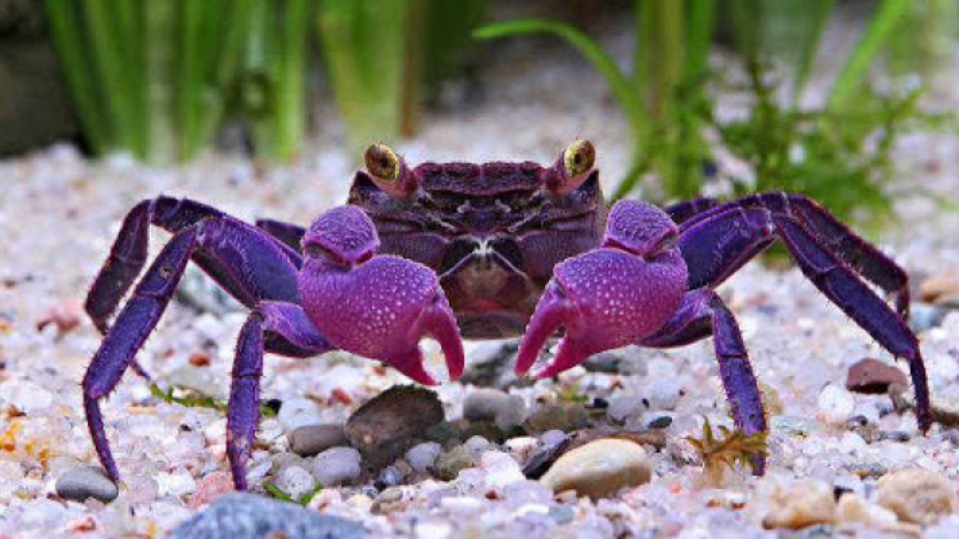 الصورة أرشيفية