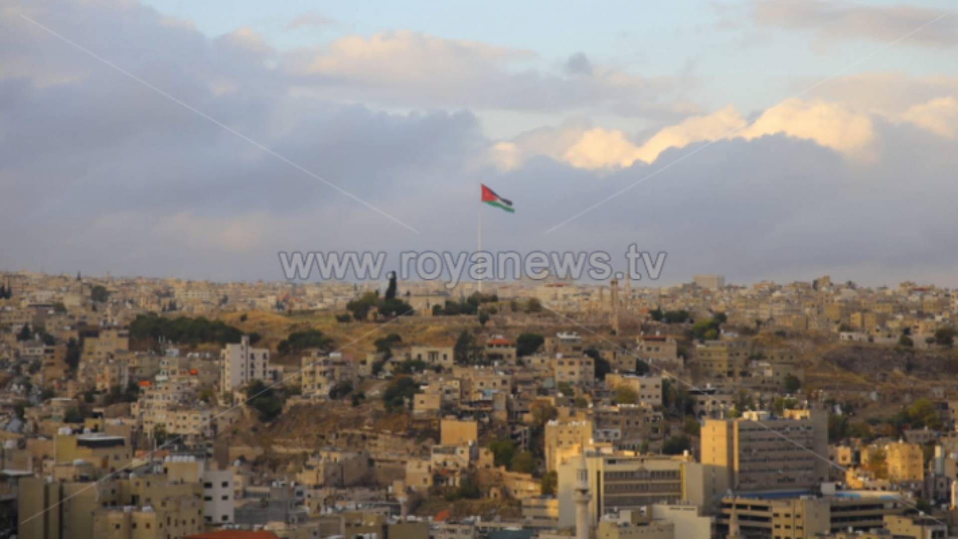 ارشيفية