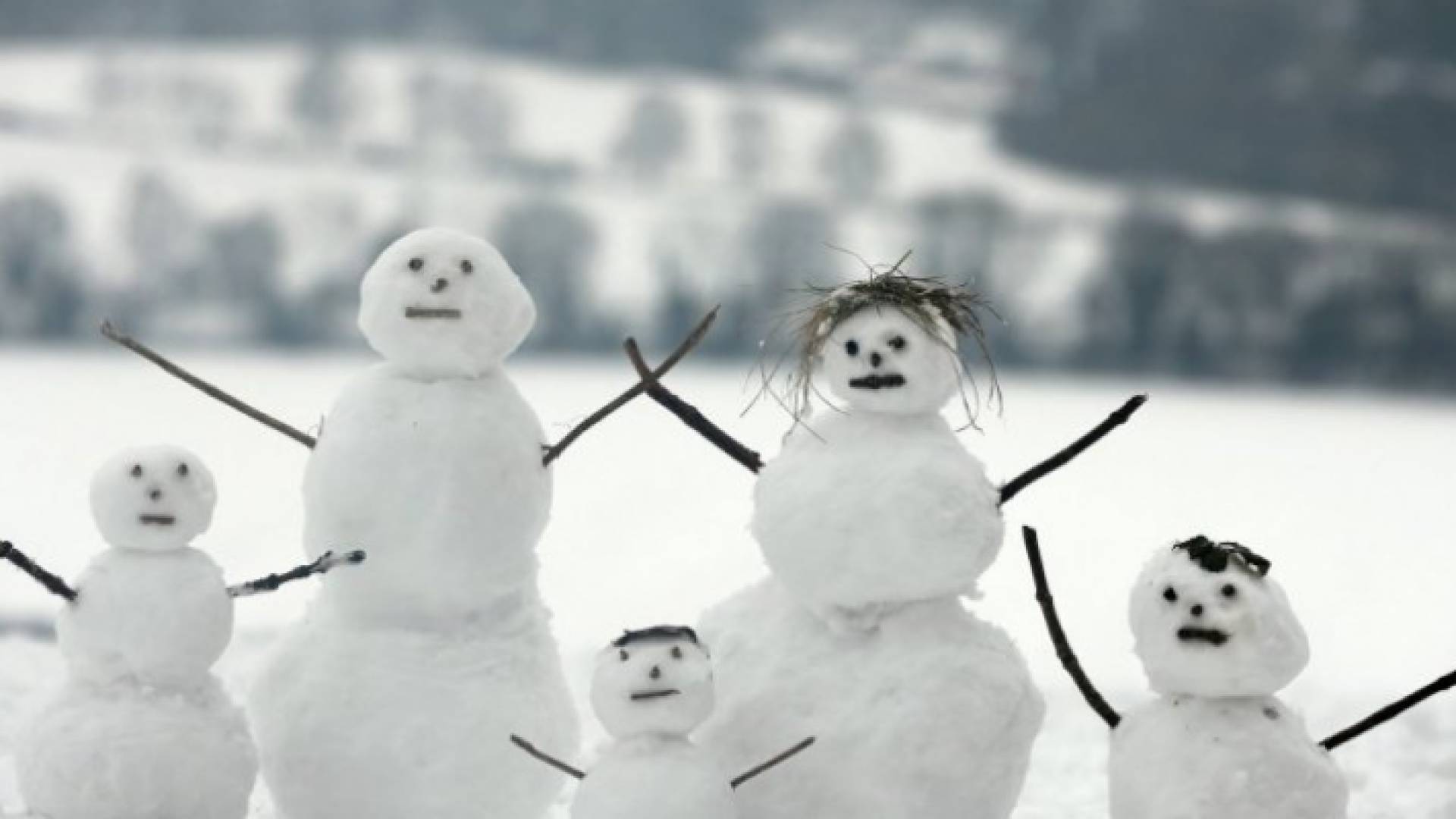 الصورة أرشيفية