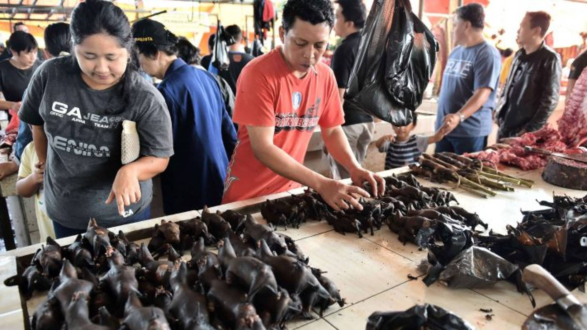 أكل الخفافيش يعد أمرا طبيعيا في الصين