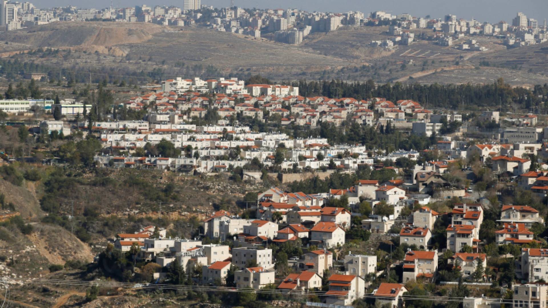 الصورة أرشيفية