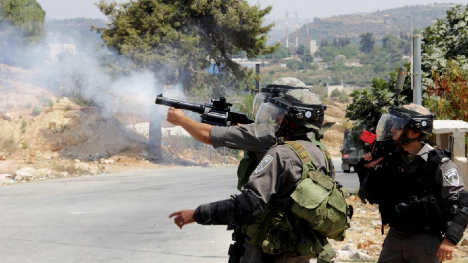 الصورة أرشيفية