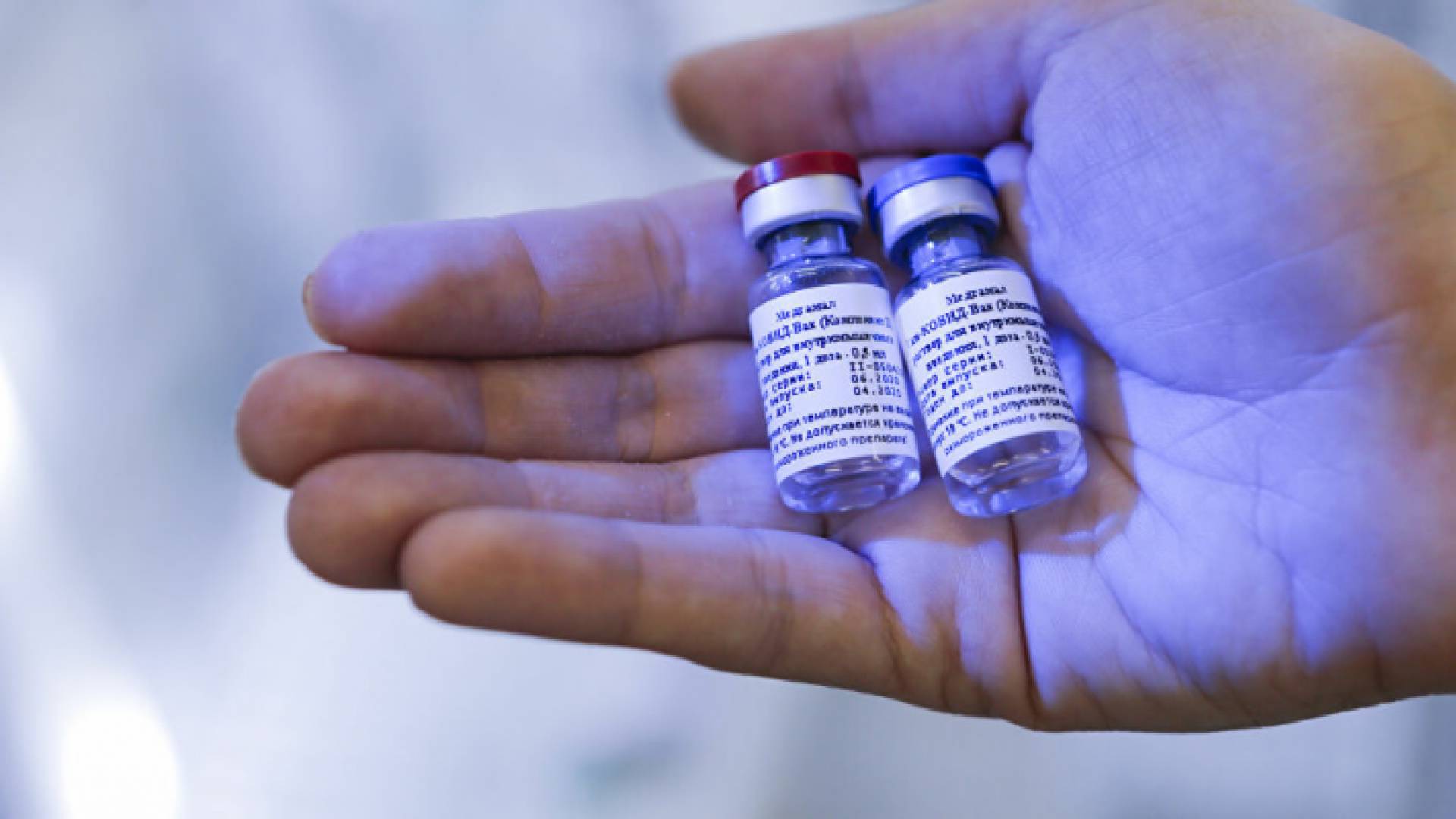 الصورة أرشيفية