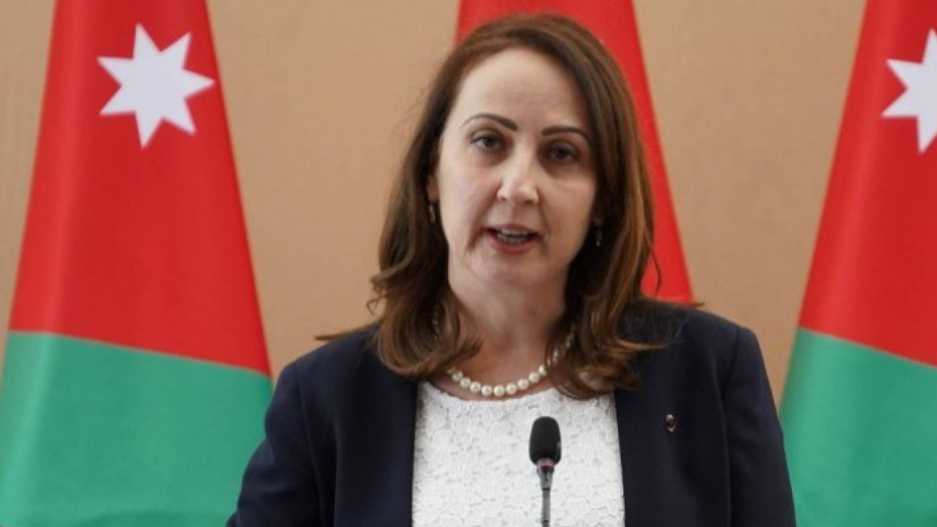 وزيرة الصناعة والتجارة والتموين المهندسة مها علي