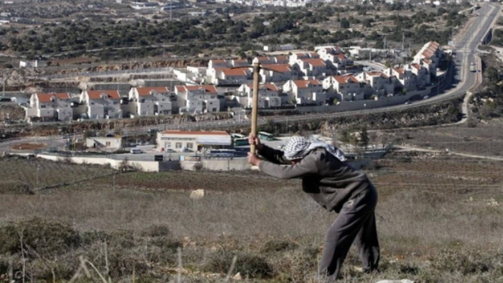 الصورة أرشيفية