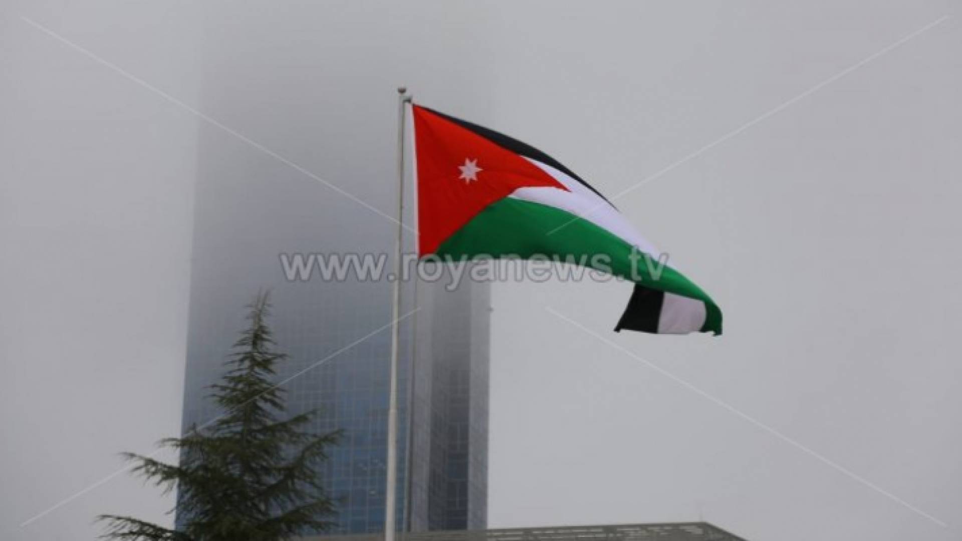 ارشيفية