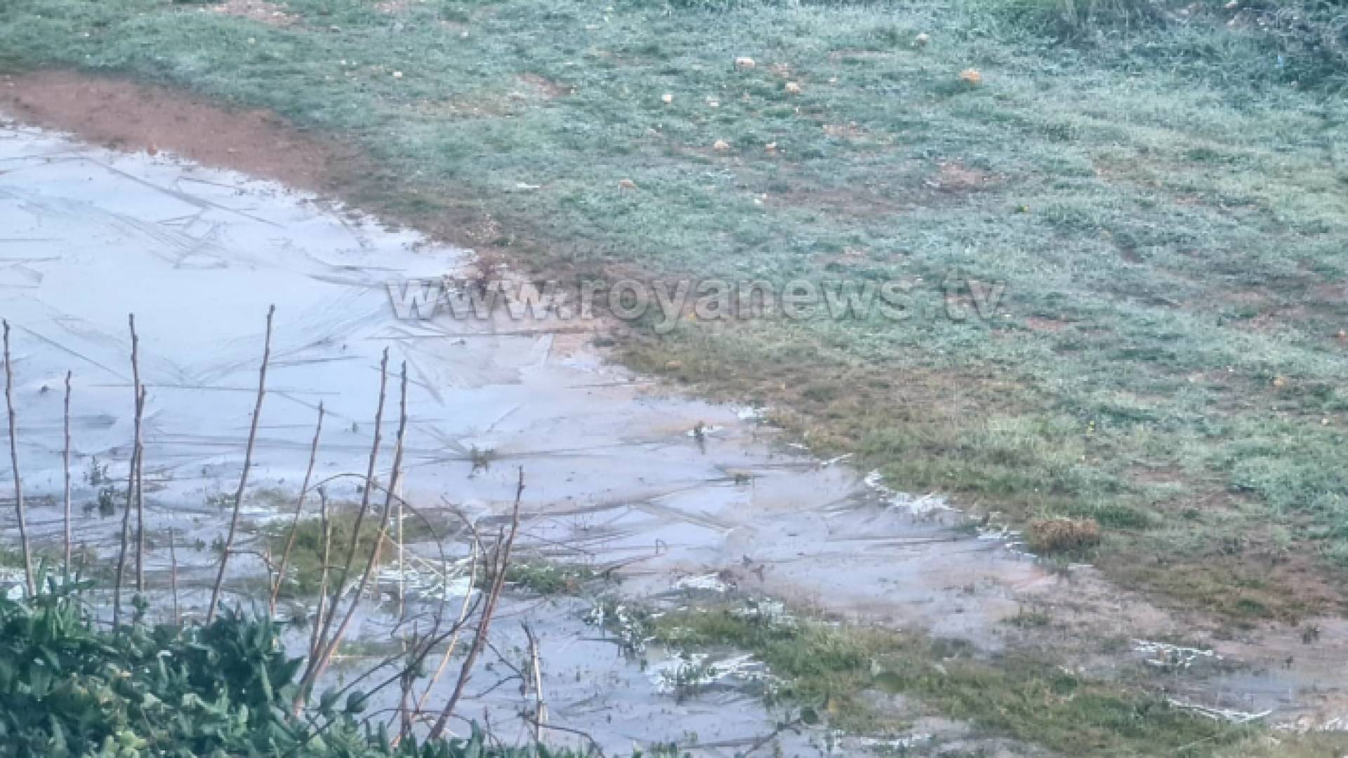 تشكل الجليد في العاصمة عمان صباح الخميس