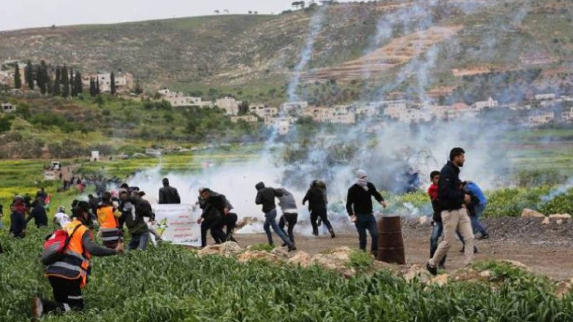 الصورة أرشيفية