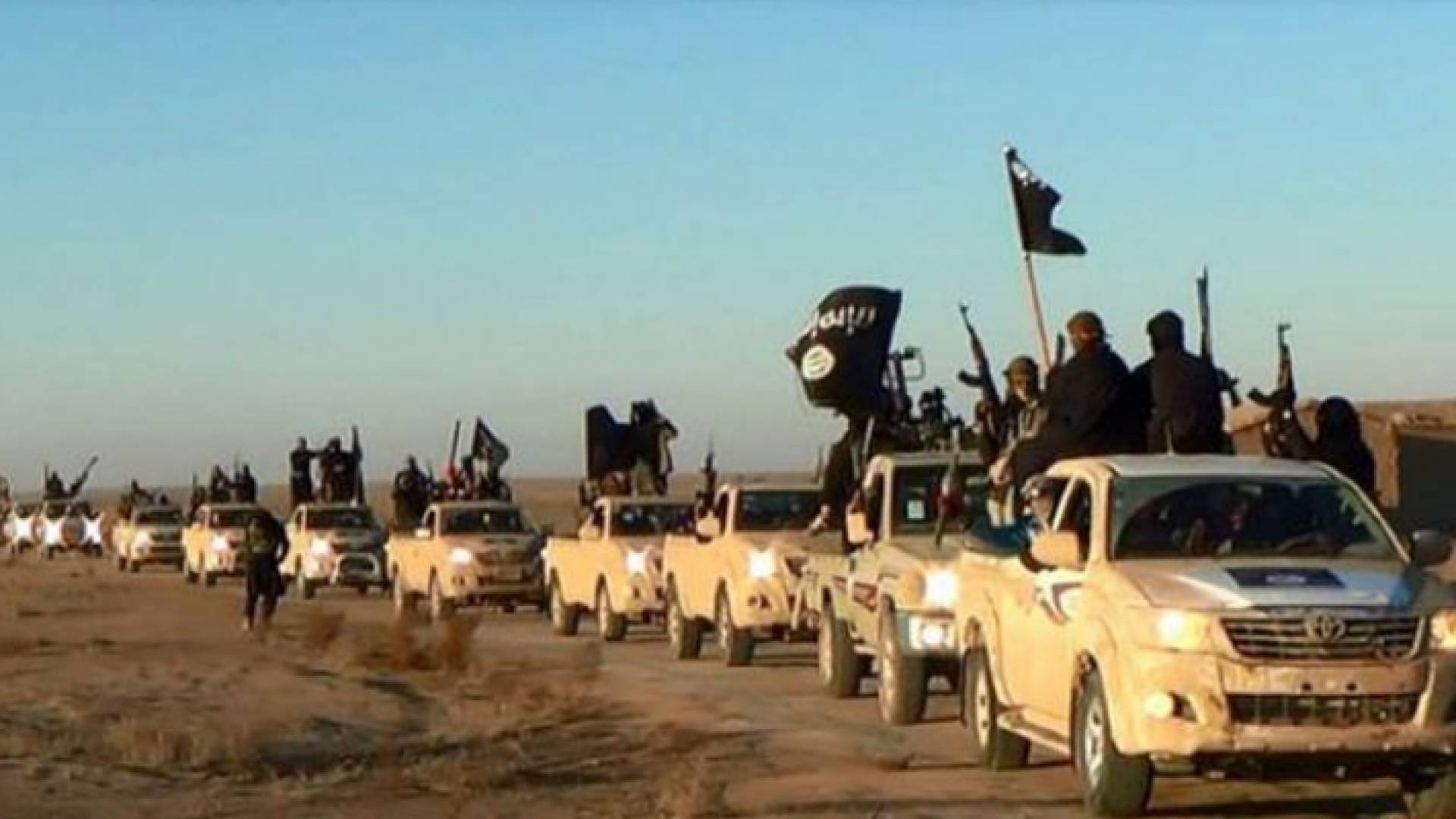 عناصر عصابة داعش الإرهابية