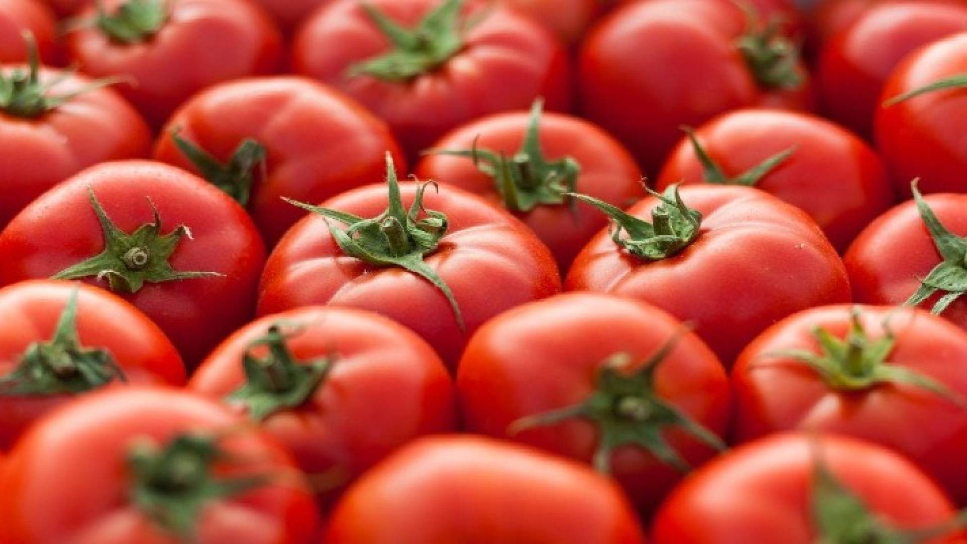 الصورة أرشيفية