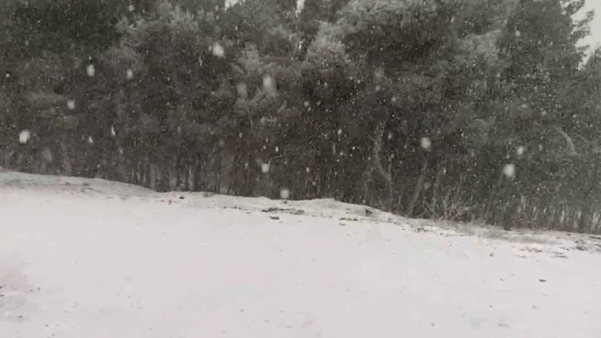 الثلوج في منطقة الرشادية صباح الجمعة