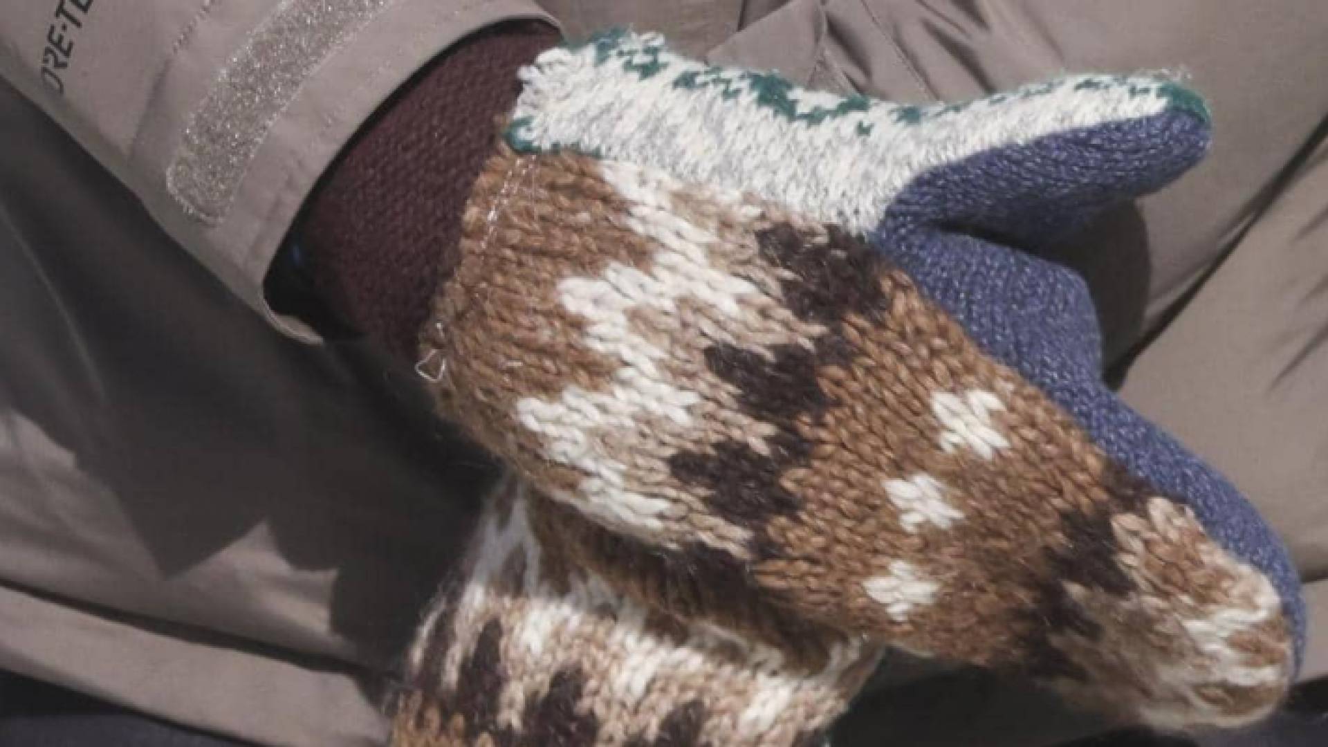 قفازات ساندرز تشعل إعلانات الشركات على مواقع التواصل