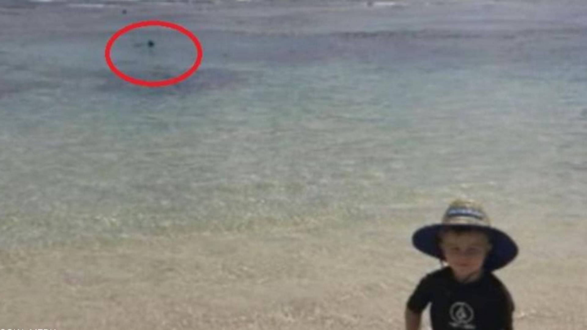 لحظة مهاجمة القرش والد الطفل