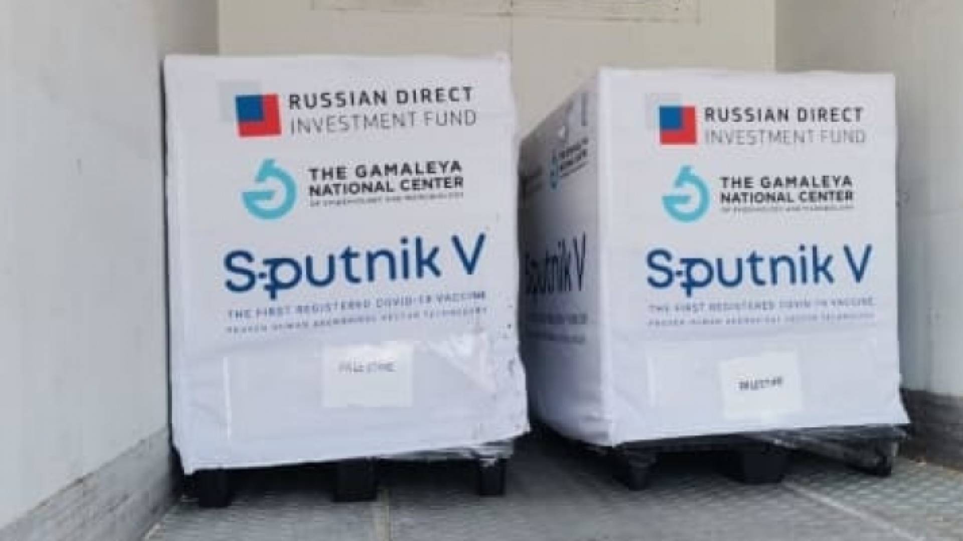 وصول 10 آلاف جرعة من لقاح سبوتنك إلى فلسطين