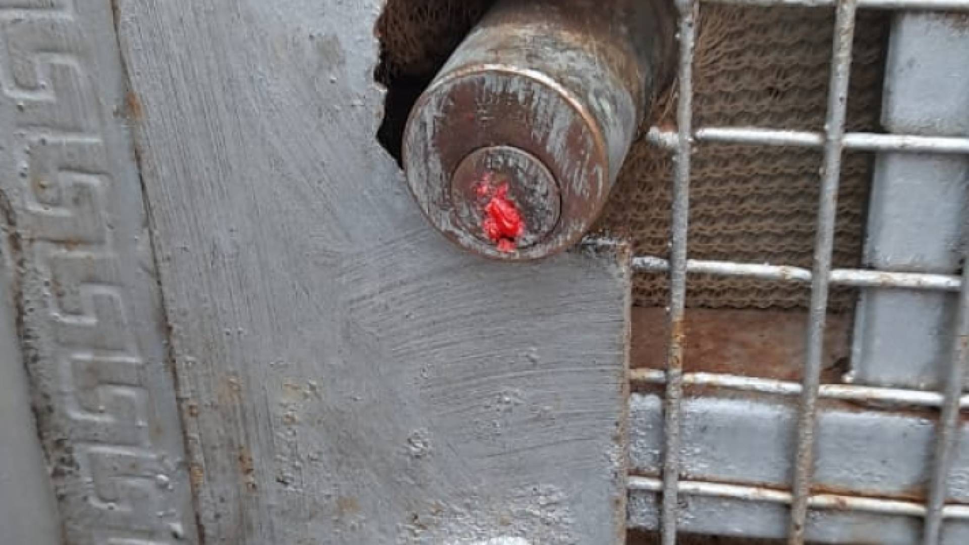 إغلاق مصنع ألبان مخالف في الزرقاء