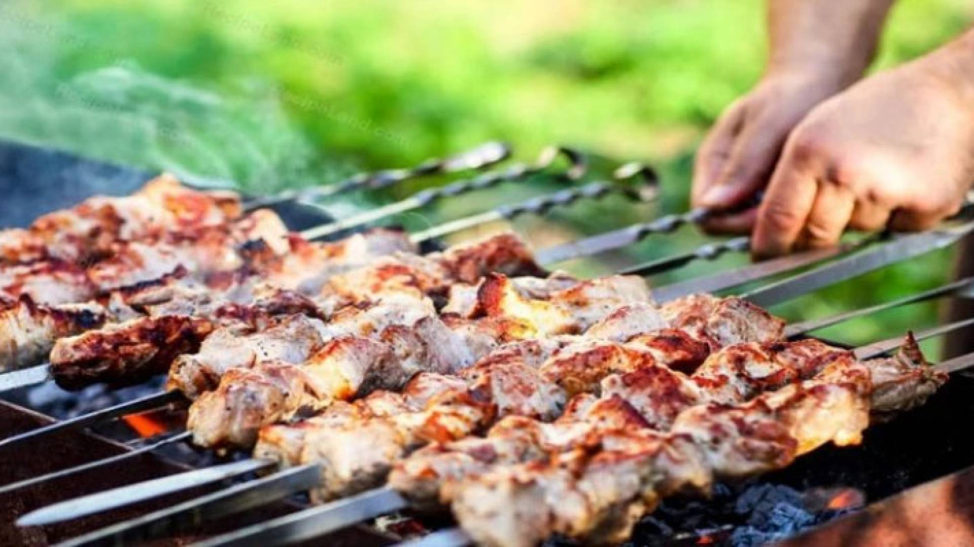 الثلاثاء.. طقس ربيعي مناسب للرحلات في عموم مناطق الأردن