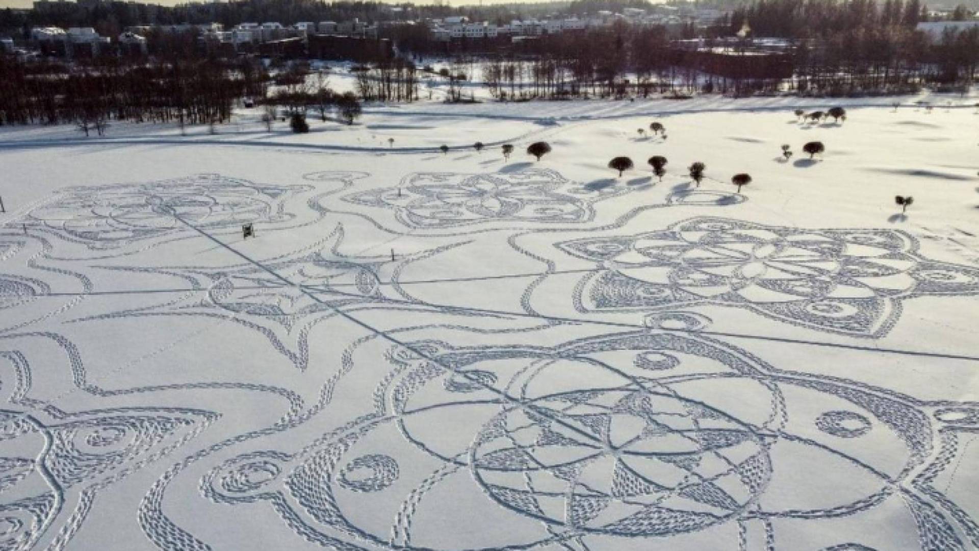 من اللوحة الفنية