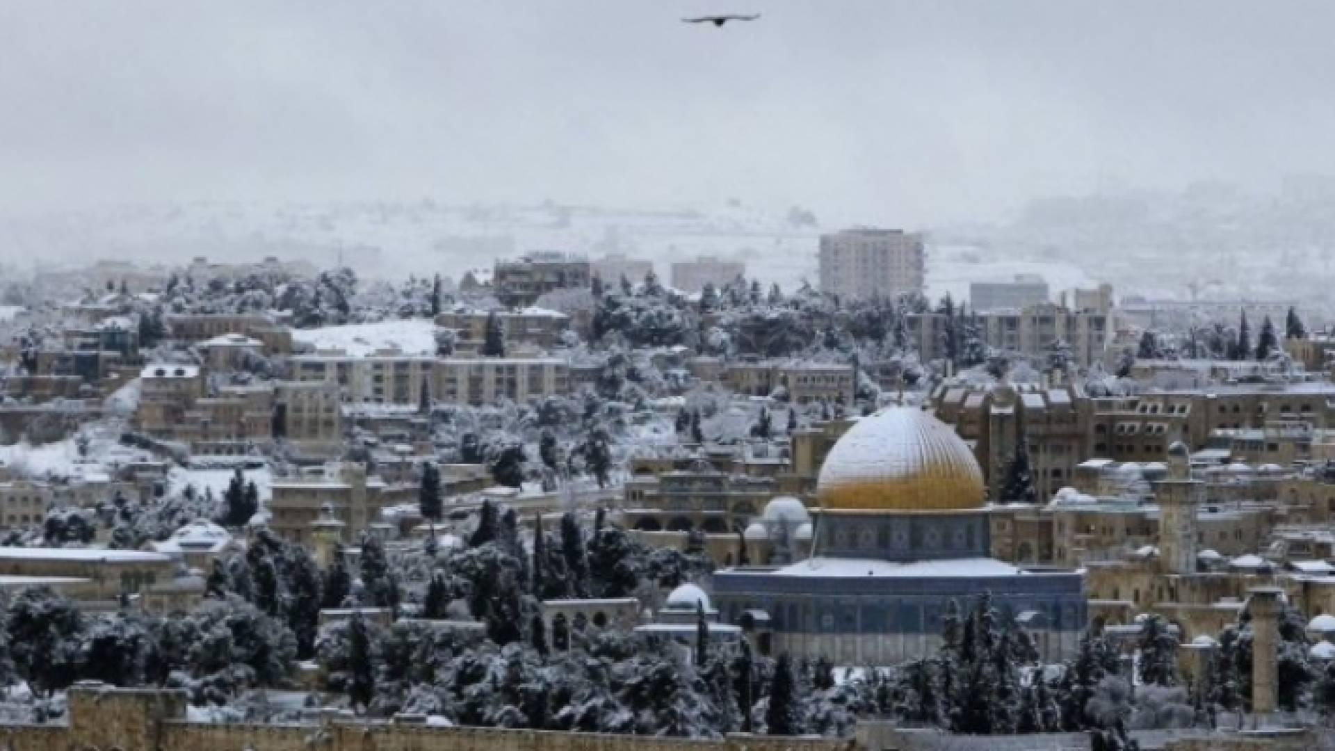 الصورة أرشيفية