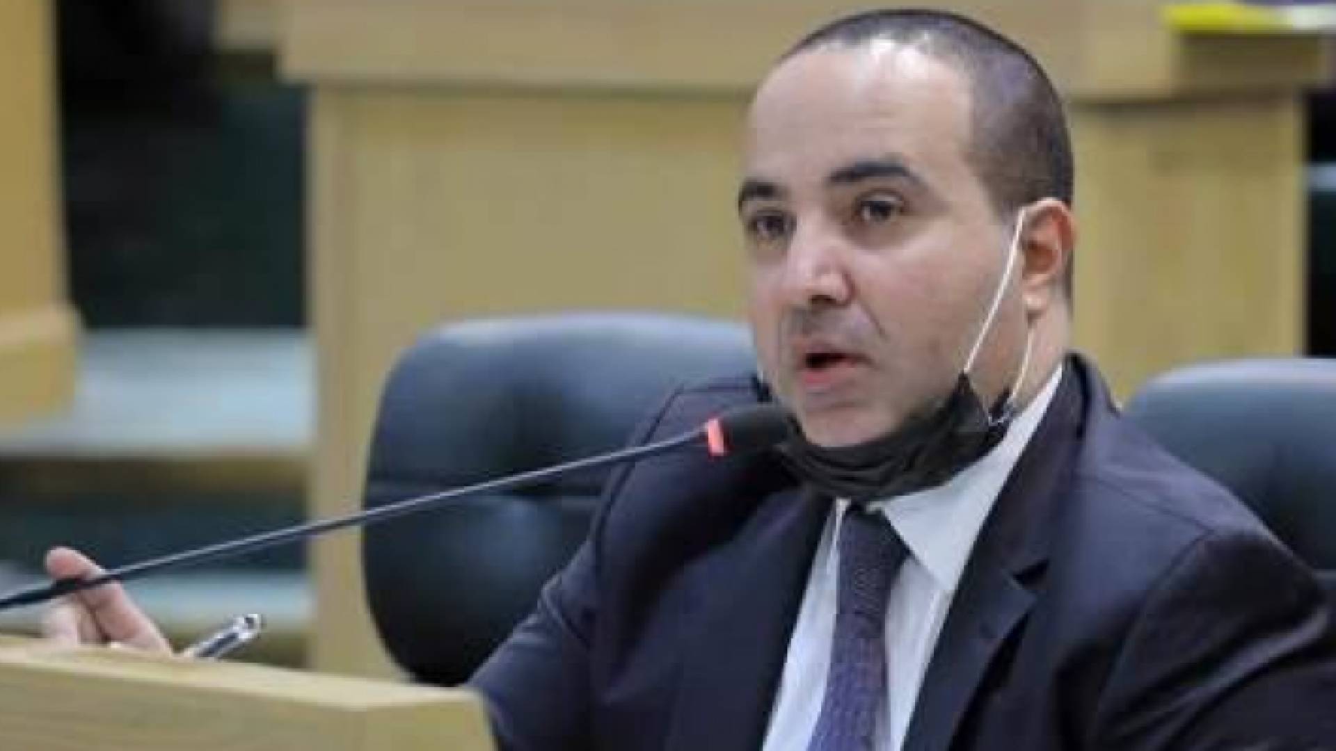 النائب، شادي فريج