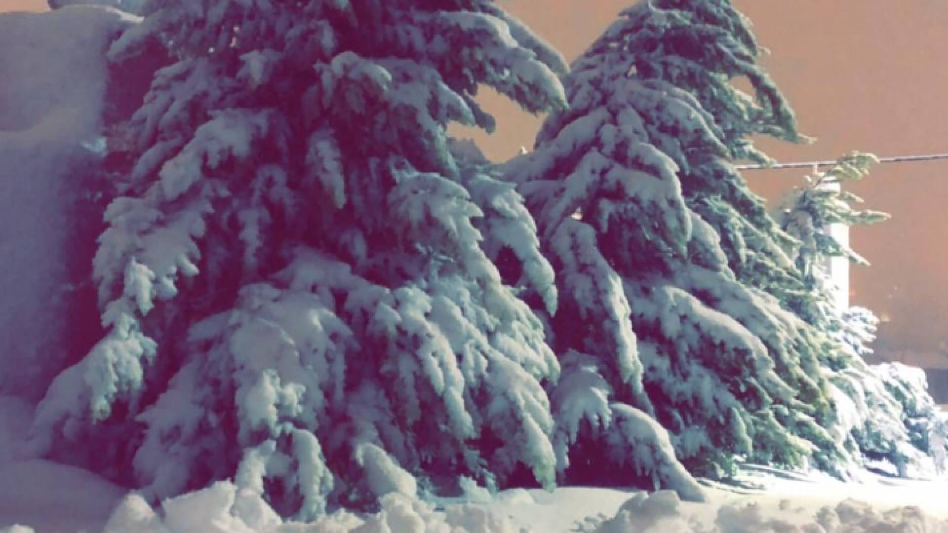 تساقط الثلوج