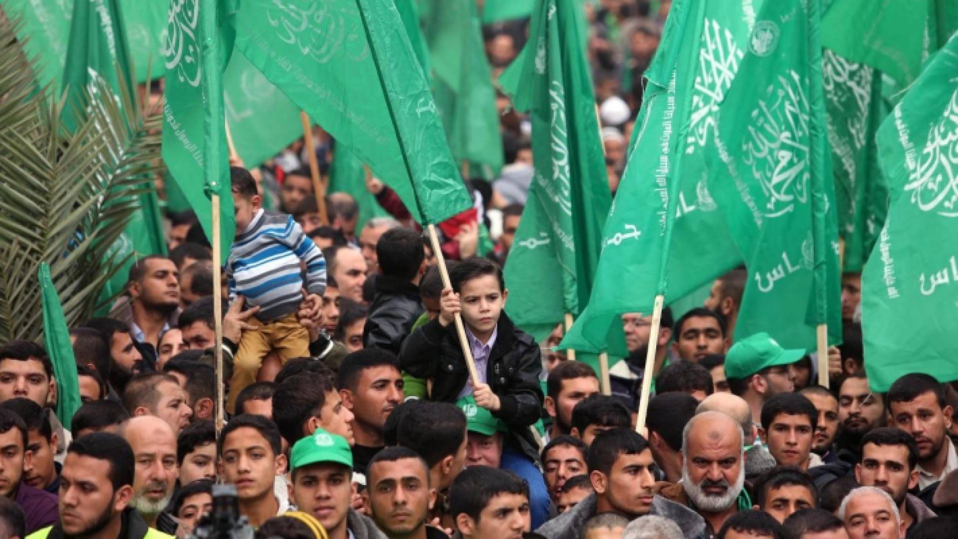 الصورة أرشيفية