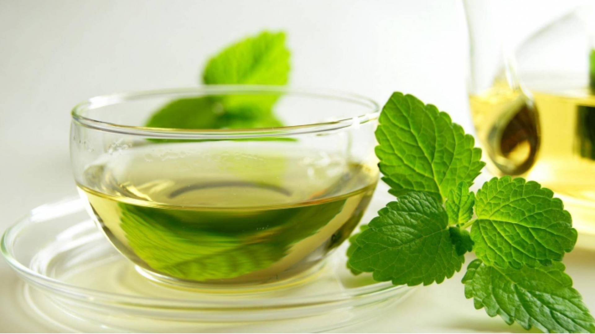 الشاي الأخضر