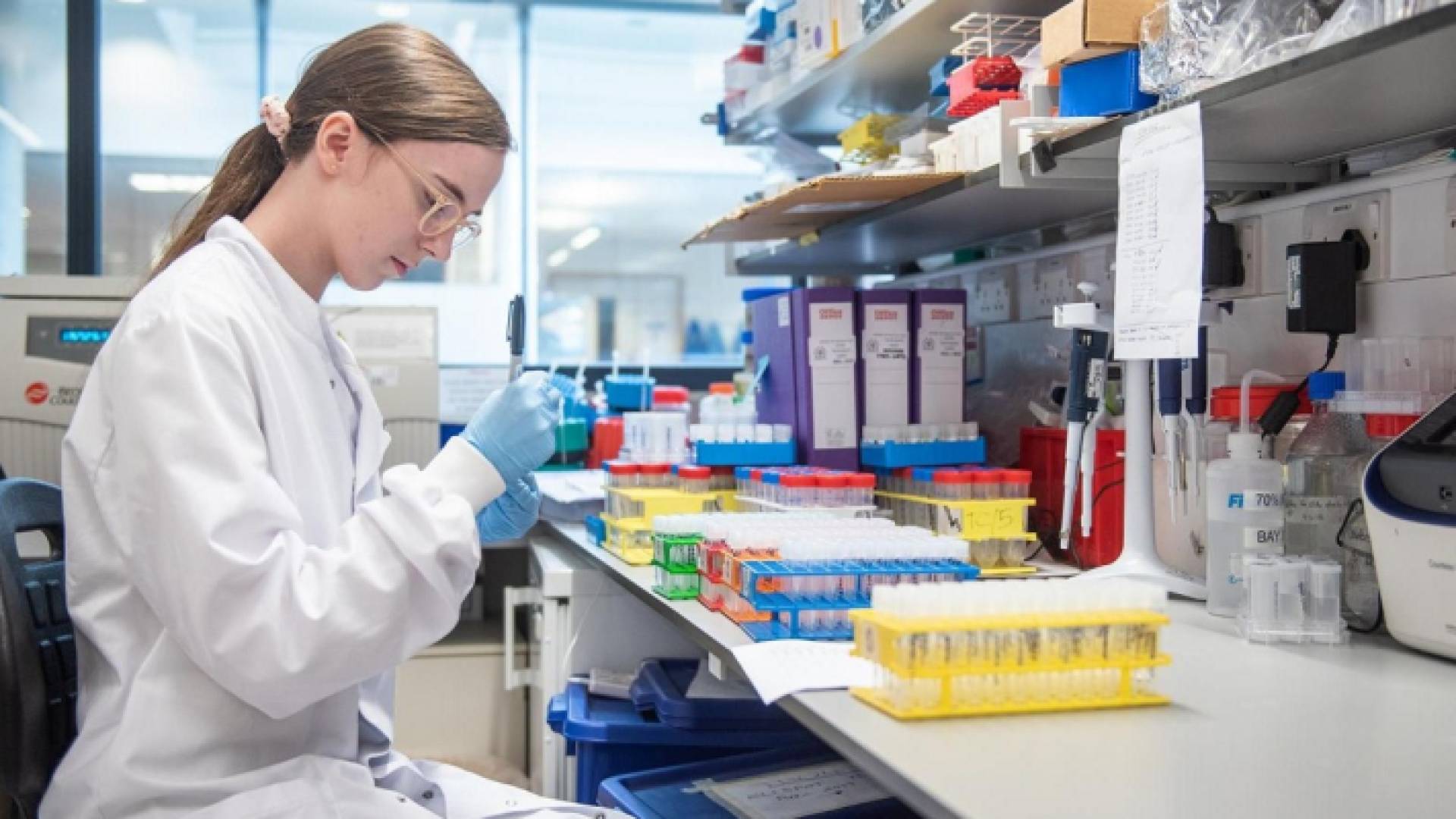 الصورة أرشيفية