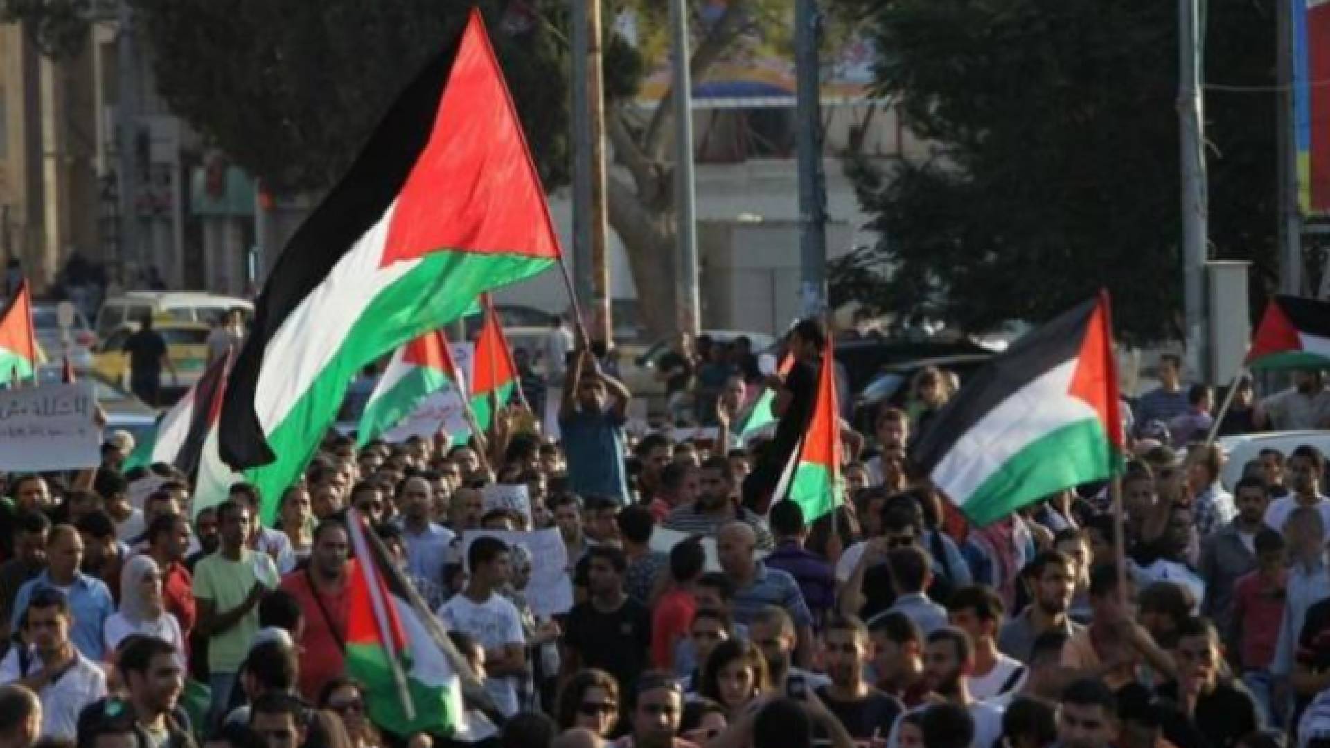 الصورة أرشيفية