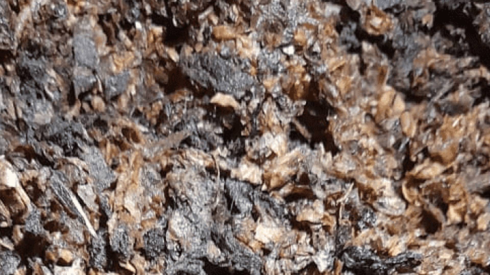 من المضبوطات