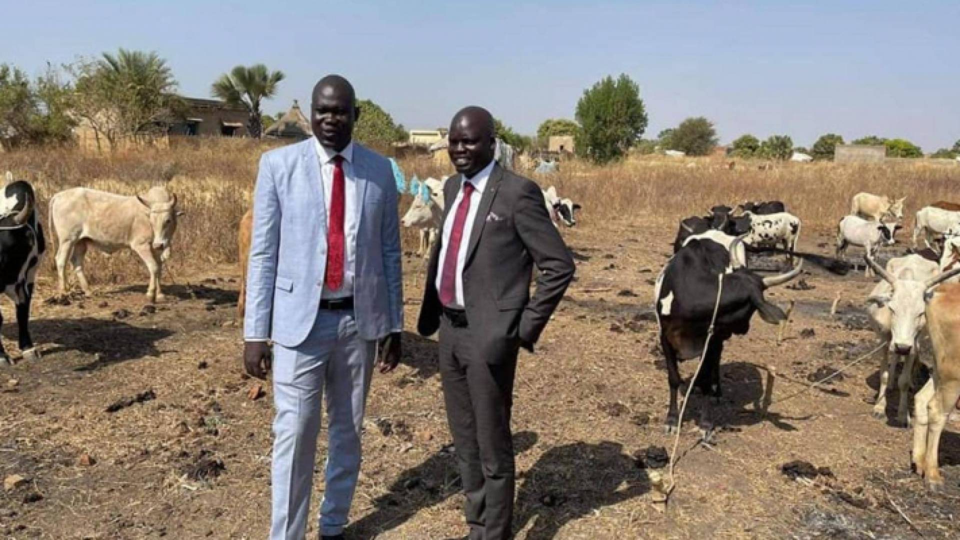 الزواج في جنوب السودان لا يتم بدون البقر