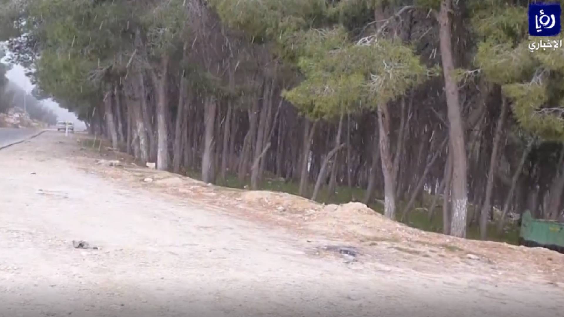 تساقط متقطع للثلوج في منطقة الرشادية بالطفيلة صباح الخميس