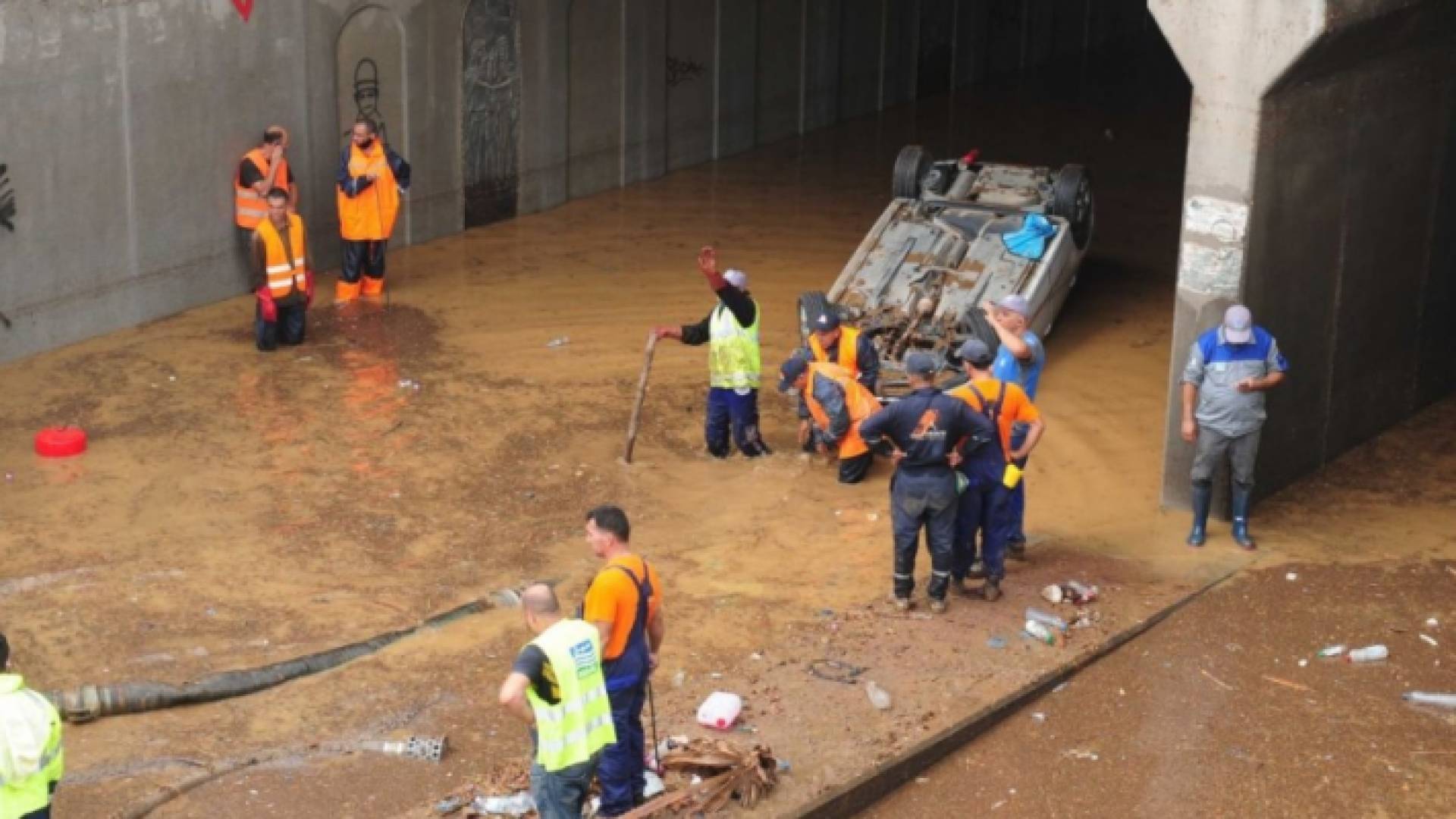 سيول في الجزائر