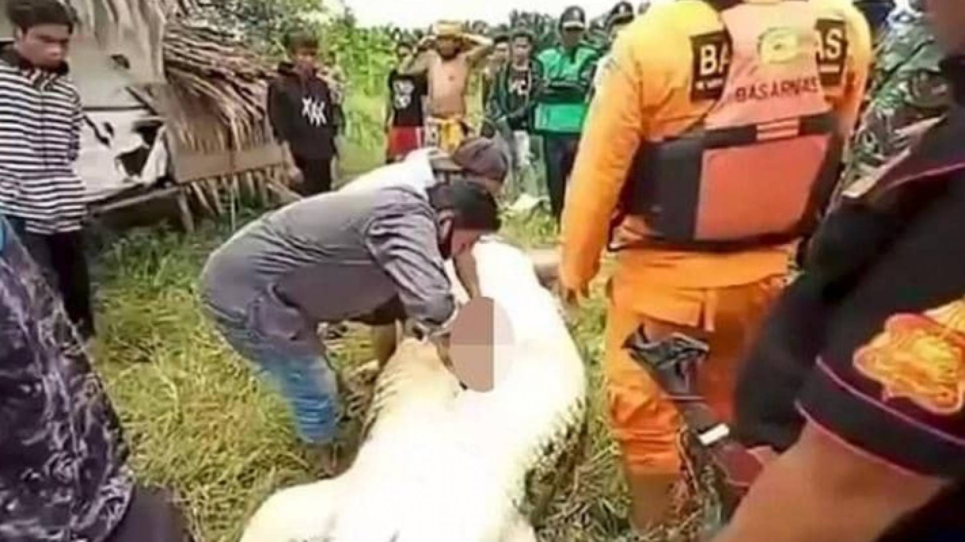 لحظة إخراج الطفل من بطن التمساح