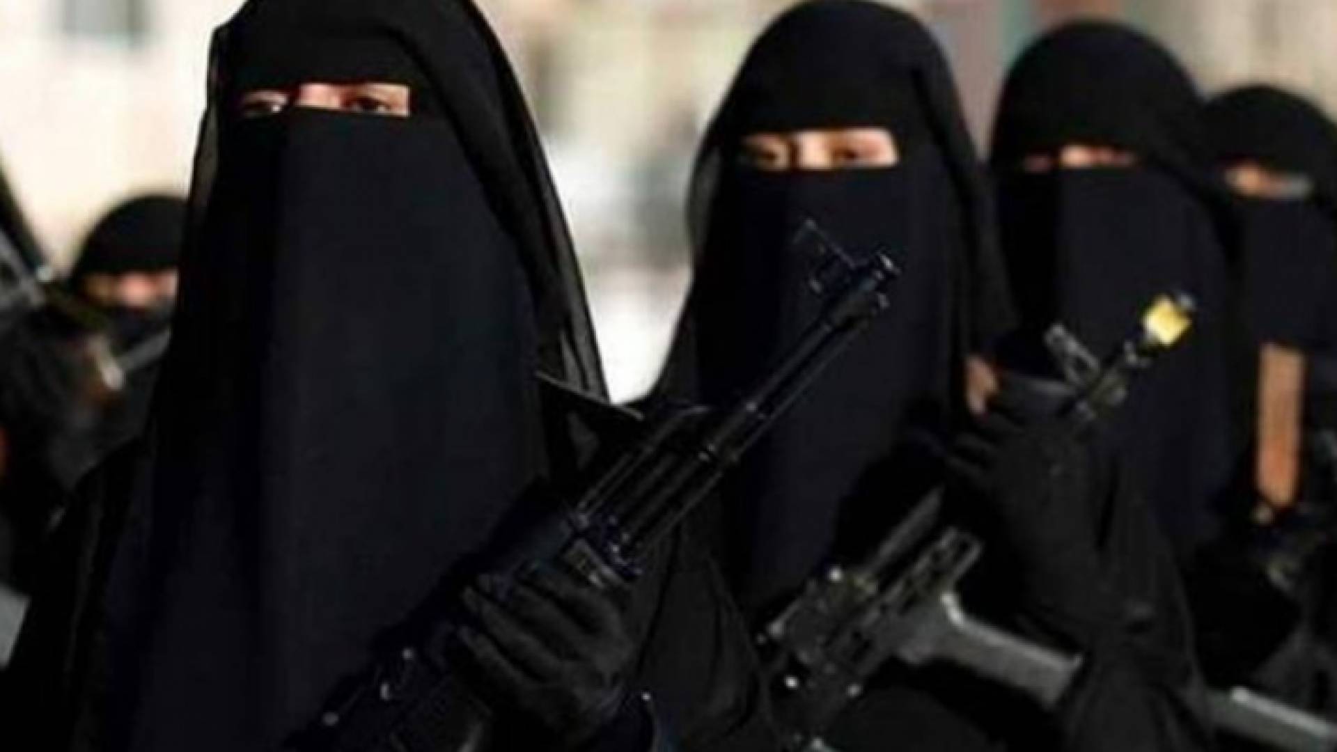 ارشيفية