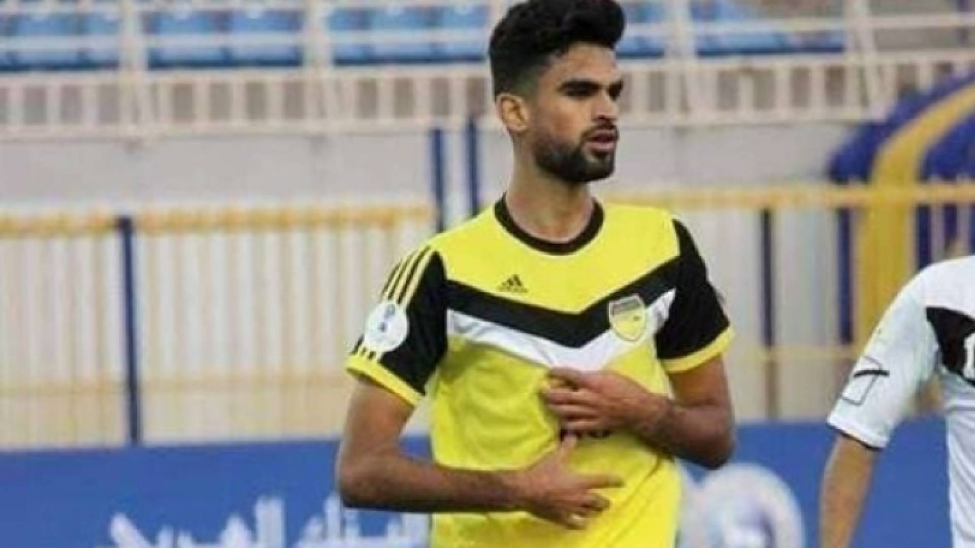 ارشيفية