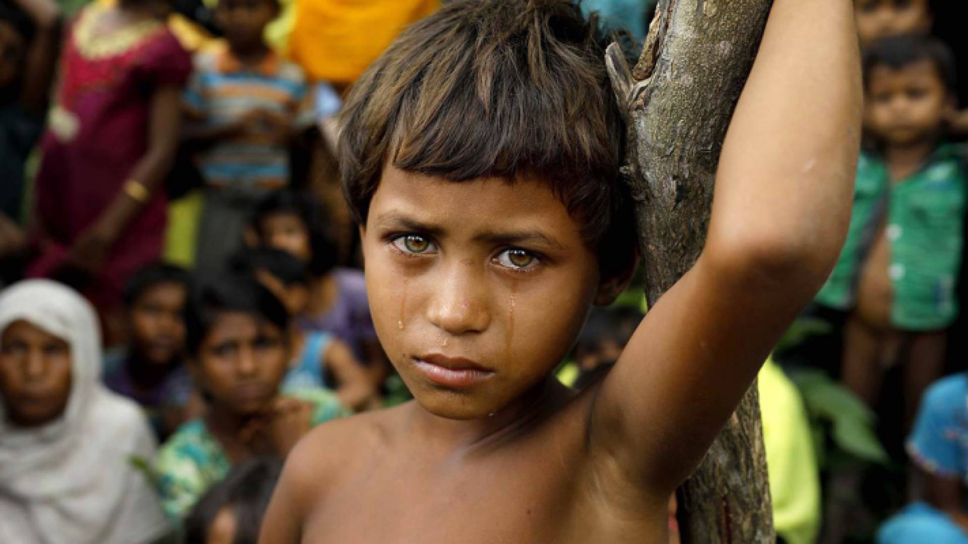 الصورة أرشيفية