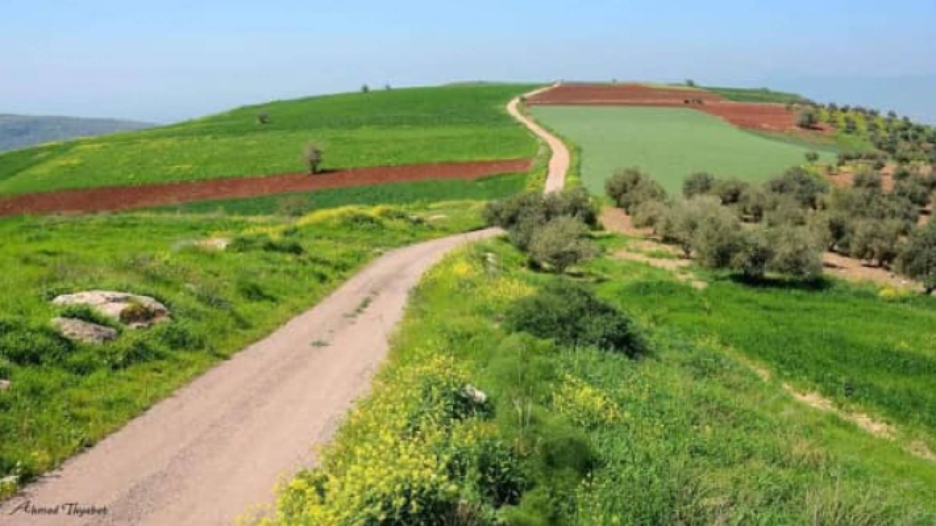 الصورة أرشيفية