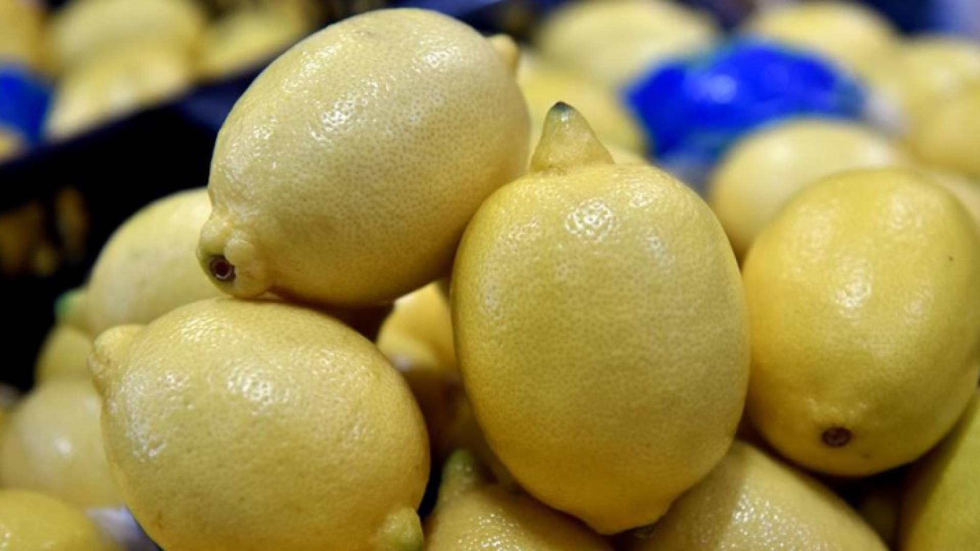 الصورة أرشيفية