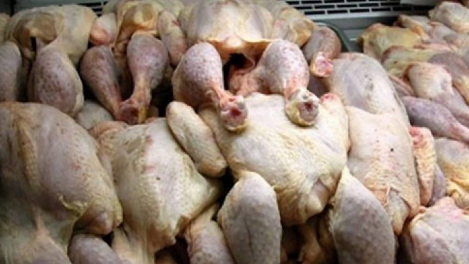 دجاج - ارشيفية