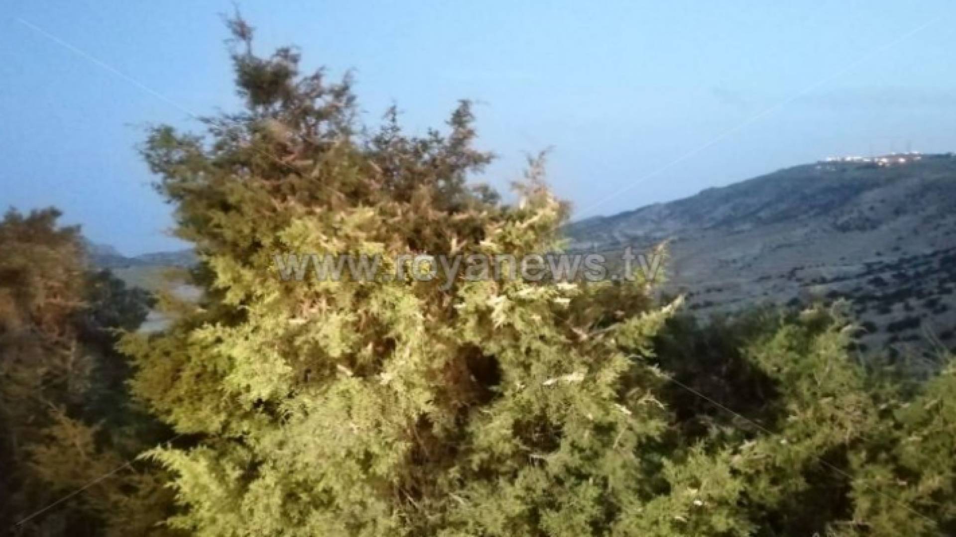 محافظة الطفيلة - أرشيفية