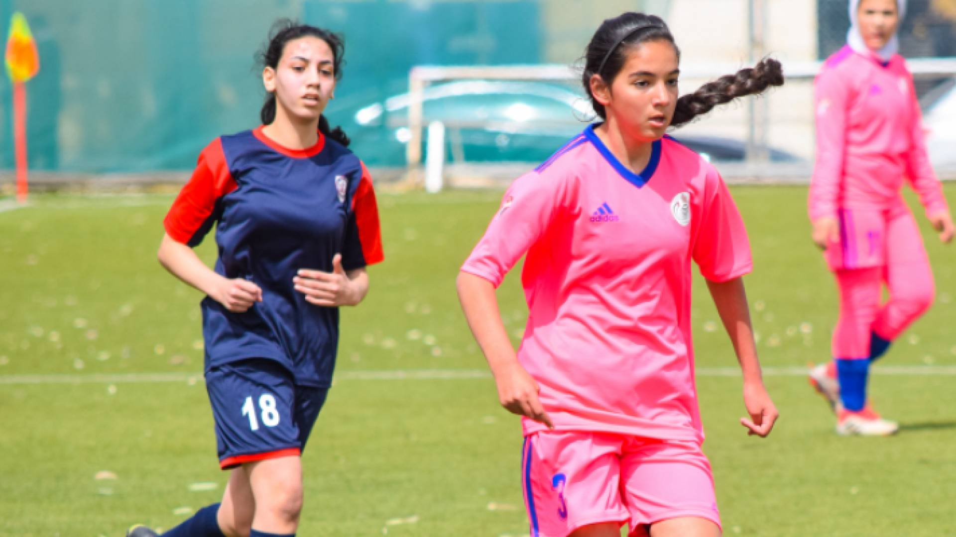 أرشيفية