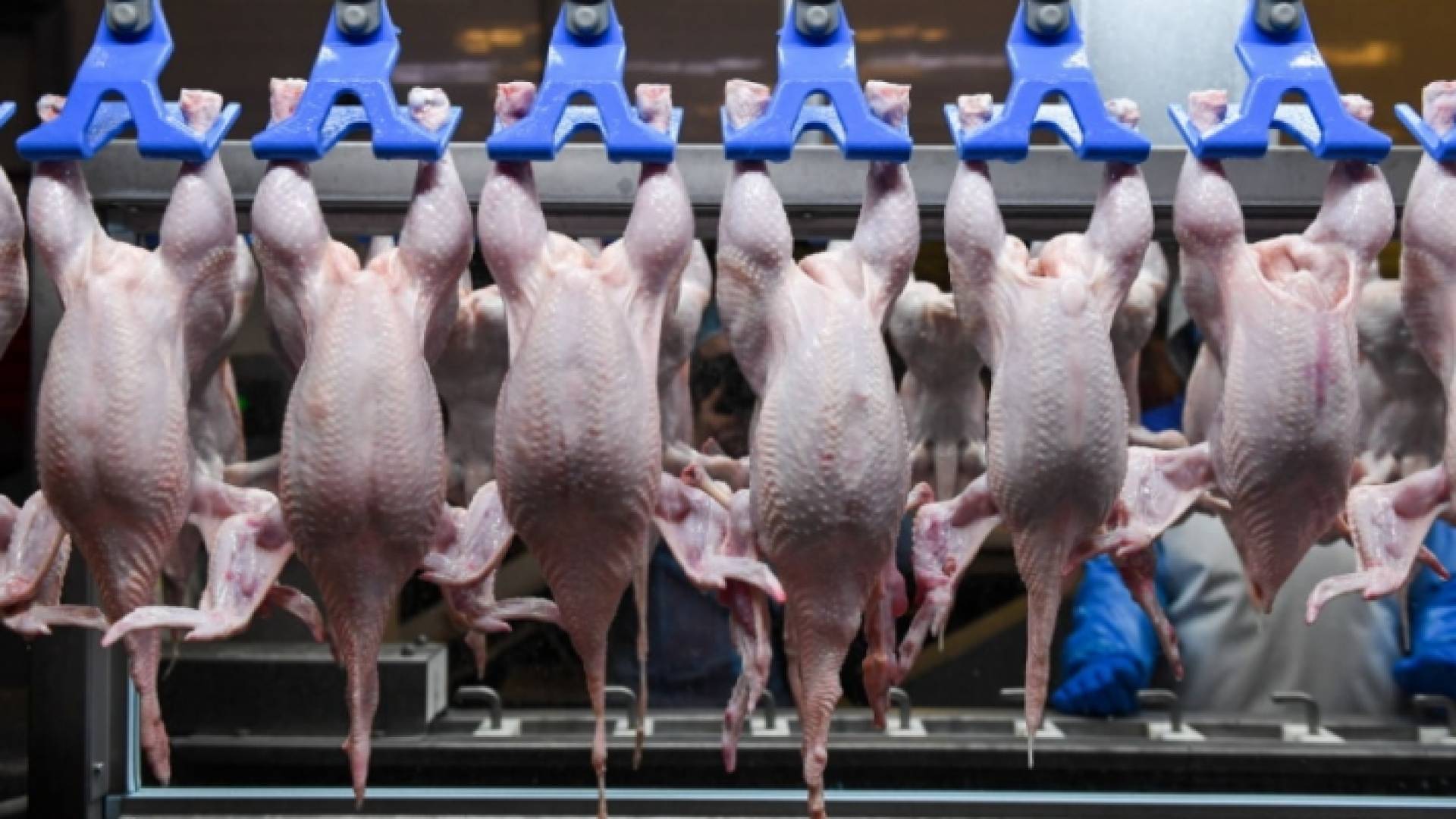 الصورة أرشيفية