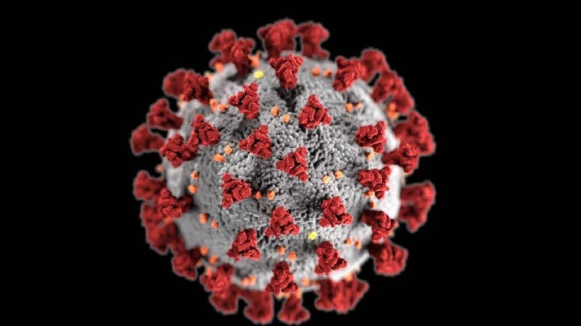 الفيروس المتحور أدى لزيادة الإصابات