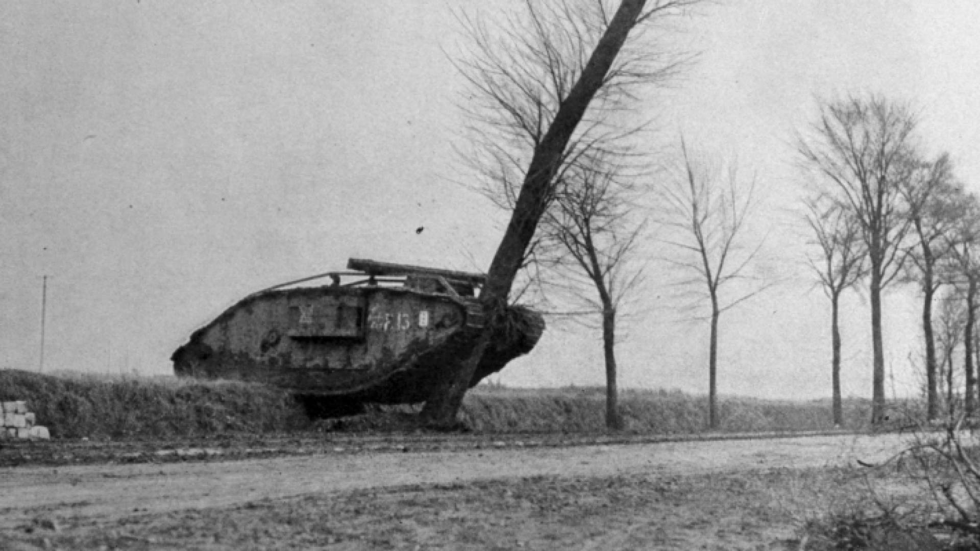 الصورة المتداولة