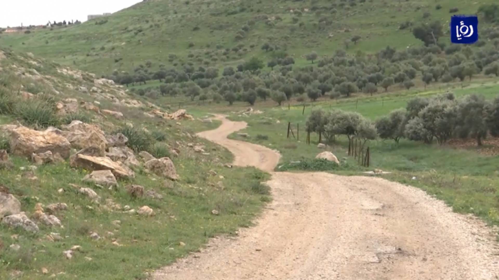 10 سنوات من المطالبات بحل قضية تسرب المياه العادمة في بلدة كتم