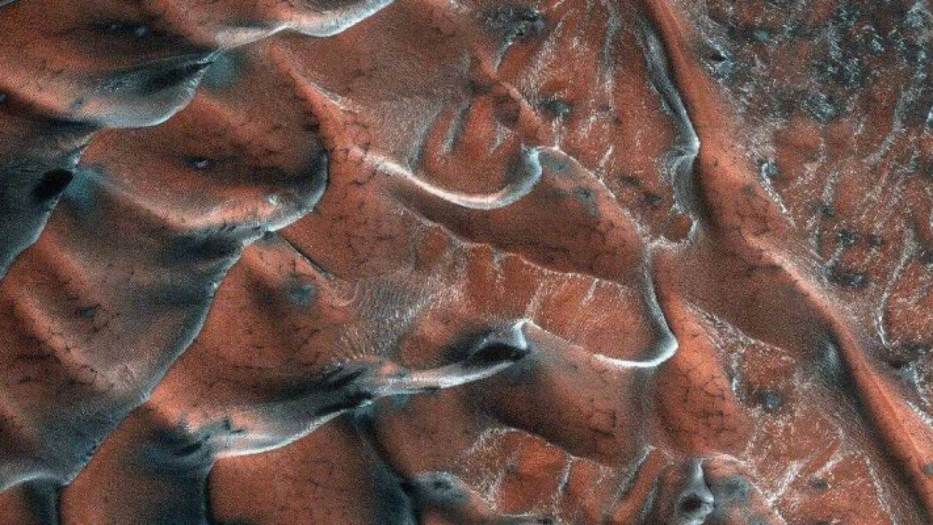 كوكب المريخ