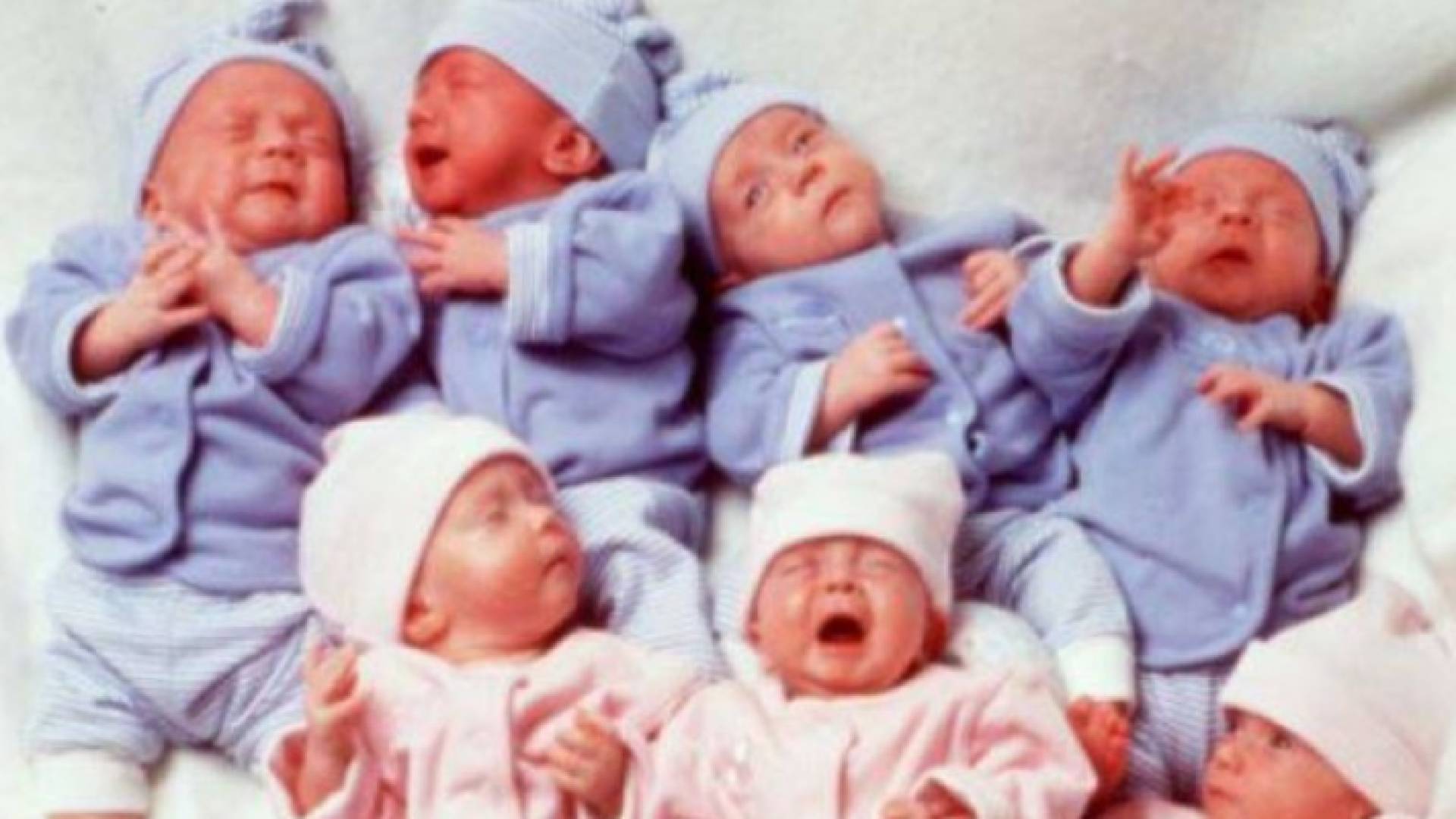 أطفال توائم